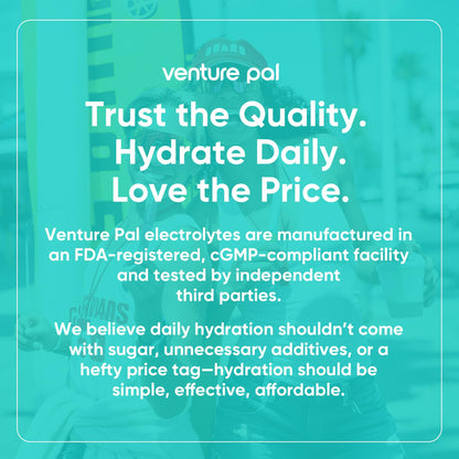 Venture Pal Sugar Free Electrolytes Powder Packets - Liquid Daily IV Hydration Packets | Instantly Hydrating & Party Recovery | 5 Vitamins & 7 Electrolytes - PrimeBioHealth - canada supplements