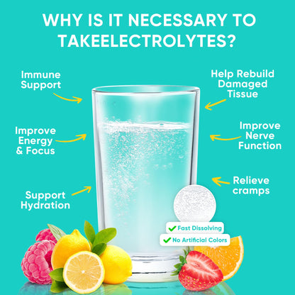 Venture Pal Sugar Free Electrolytes Powder Packets - Liquid Daily IV Hydration Packets | Instantly Hydrating & Party Recovery | 5 Vitamins & 7 Electrolytes - PrimeBioHealth - canada supplements