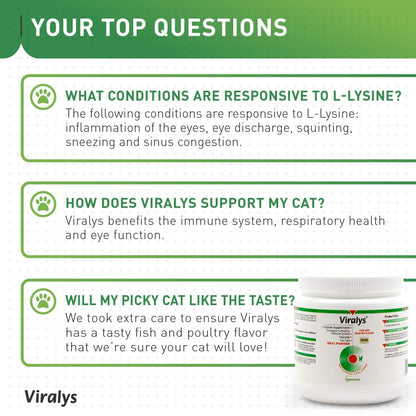 Vetoquinol Viralys Daily L-Lysine Powder for Cats and Kittens, Fish Flavored Lysine Supplement for Cats and Kittens to Support Immune Health - PrimeBioHealth - canada supplements