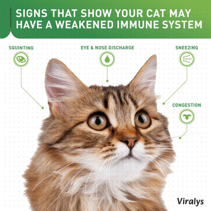 Vetoquinol Viralys Daily L-Lysine Powder for Cats and Kittens, Fish Flavored Lysine Supplement for Cats and Kittens to Support Immune Health - PrimeBioHealth - canada supplements