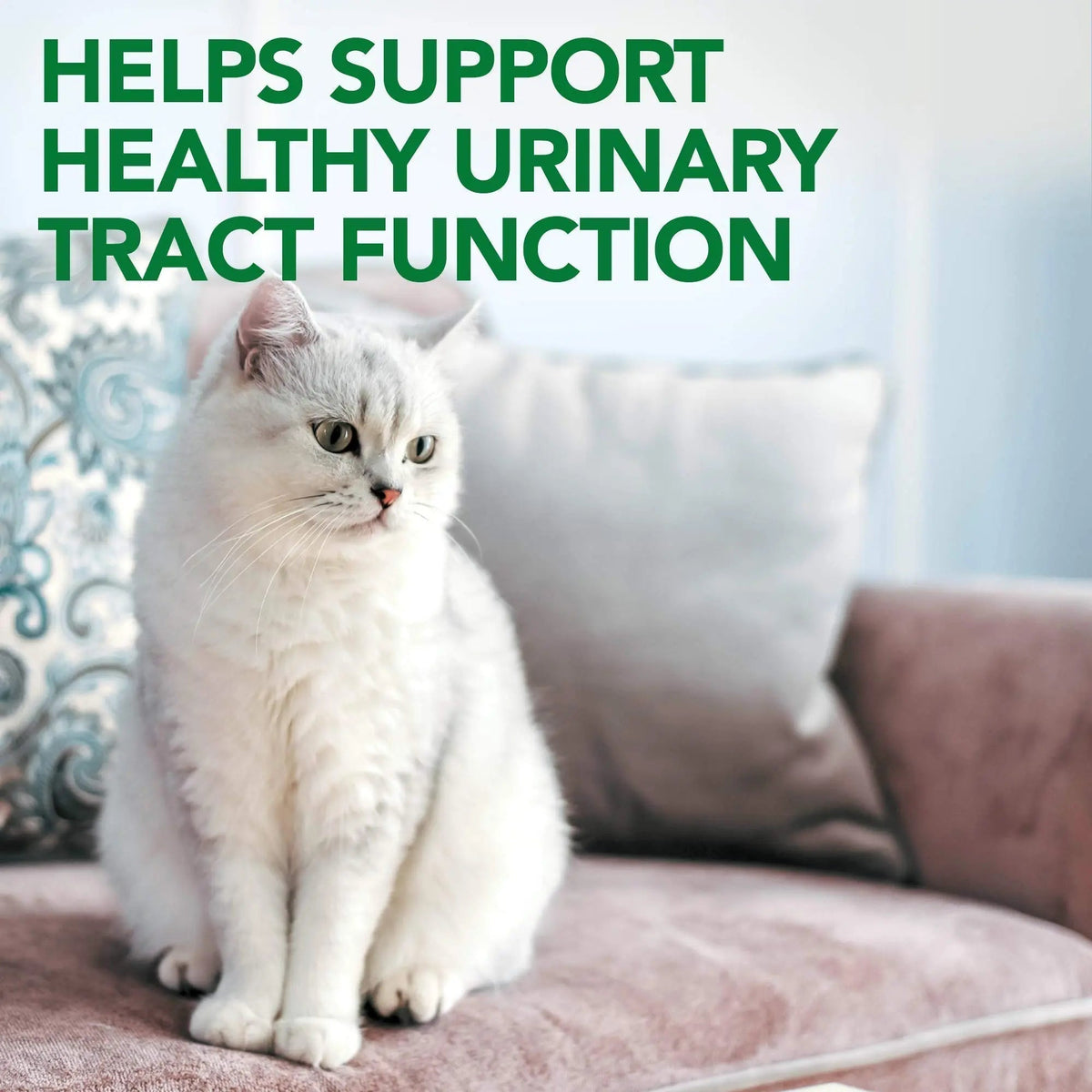 Vet's Best Cat Urinary Supplement, Urinary Tract Support Chewable for Cats, Supports A Healthy Urinary Tract in Cats, 60 Chewable Tablets - PrimeBioHealth - canada supplements