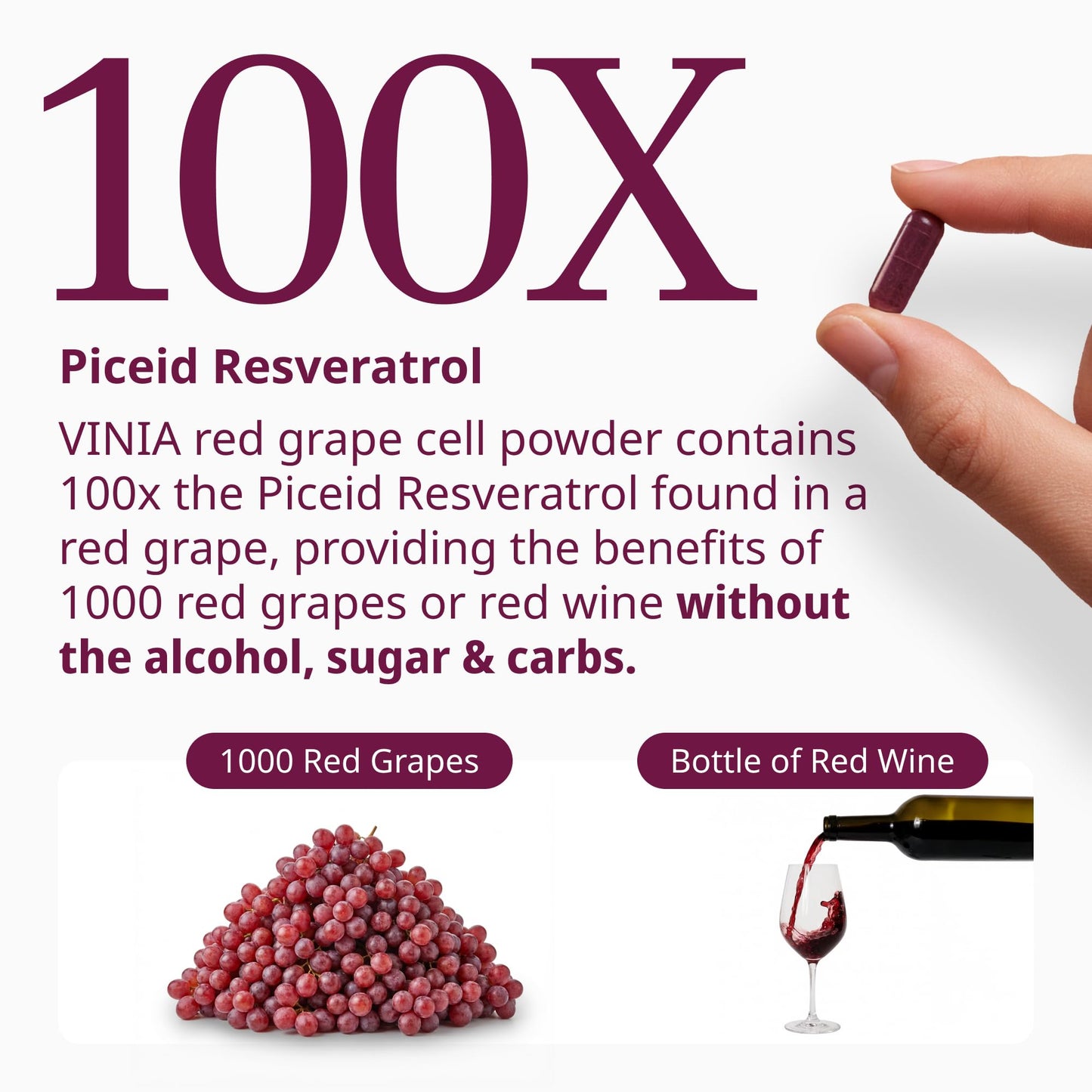 VINIA Piceid Resveratrol Supplement Capsules. Increases Blood Flow and Nitric Oxide. Blood Pressure and Heart Health Support - PrimeBioHealth - canada supplements
