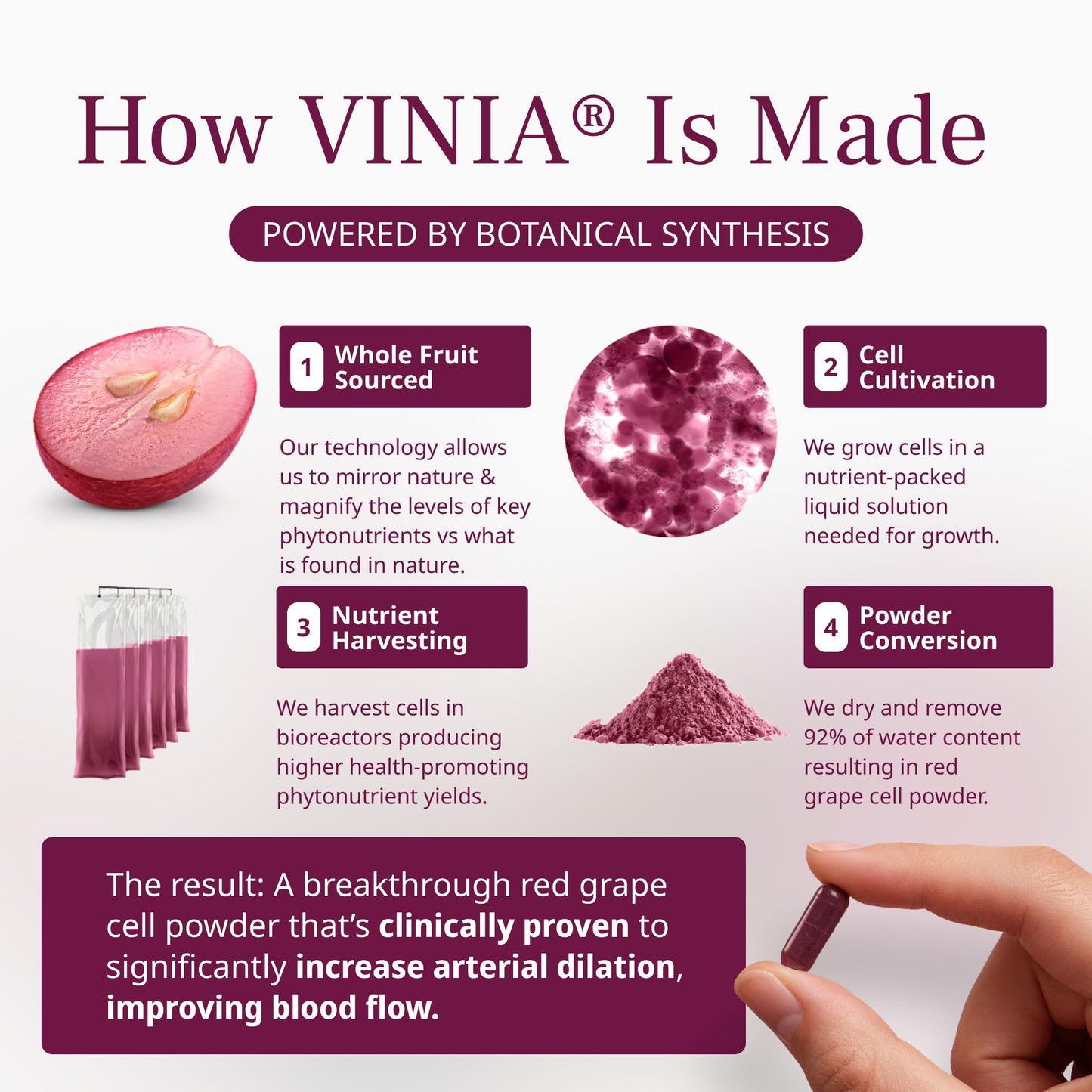 VINIA Piceid Resveratrol Supplement Capsules. Increases Blood Flow and Nitric Oxide. Blood Pressure and Heart Health Support - PrimeBioHealth - canada supplements