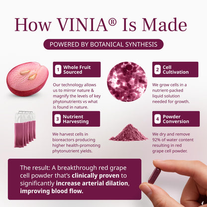 VINIA Piceid Resveratrol Supplement Capsules. Increases Blood Flow and Nitric Oxide. Blood Pressure and Heart Health Support - PrimeBioHealth - canada supplements