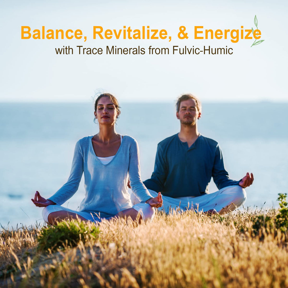 Vital Earth Minerals Fulvic Humic Mineral Blend Liquid – Fulvic Acid Supplement with 70+ Trace Minerals, Electrolytes for Recovery - PrimeBioHealth - canada supplements