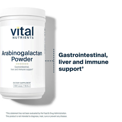 Vital Nutrients Arabinogalactan Powder - Vegan Prebiotic Fiber Supplement for GI Health, Liver, and Immune Support - PrimeBioHealth - canada supplements