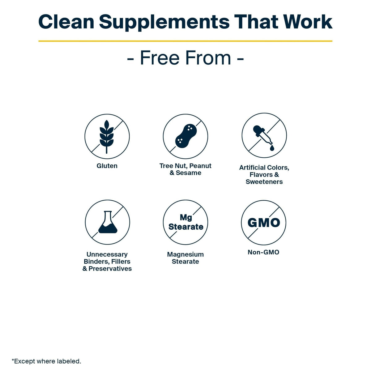 Vital Nutrients GI Repair Powder - Leaky Gut Powder with L Glutamine and Zinc - Digestive Enzyme Supplement to Support Gut Health - PrimeBioHealth - canada supplements