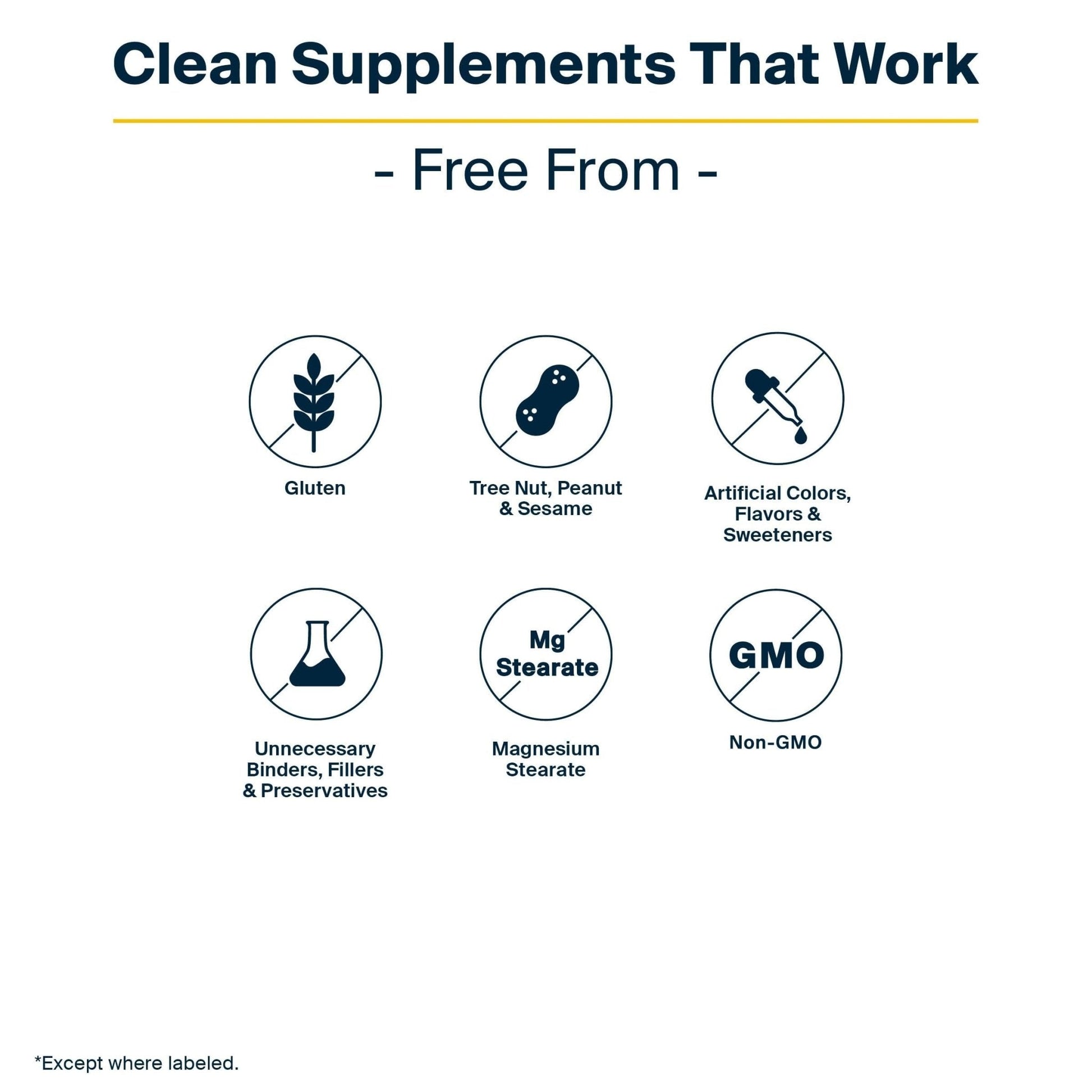 Vital Nutrients GI Repair Powder - Leaky Gut Powder with L Glutamine and Zinc - Digestive Enzyme Supplement to Support Gut Health - PrimeBioHealth - canada supplements