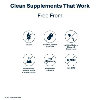 Vital Nutrients GI Repair Powder - Leaky Gut Powder with L Glutamine and Zinc - Digestive Enzyme Supplement to Support Gut Health - PrimeBioHealth - canada supplements