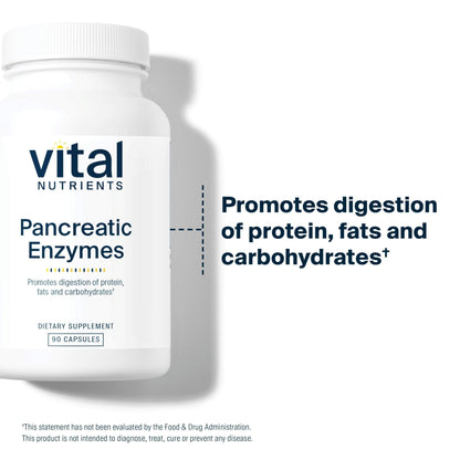 Vital Nutrients Pancreatic Enzymes 1000mg (Full Strength) - Pancreatin Digestion Supplement with Protease, Amylase & Lipase - Digestive Enzymes - PrimeBioHealth - canada supplements
