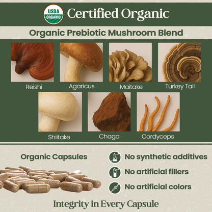 Vital Planet - Organic Flora Probiotics for Gut Health Balance, Shelf Stable Probiotic 30 Billion CFU, 60 Diverse Strains, Prebiotic Organic Mushroom Blend - PrimeBioHealth - canada supplements