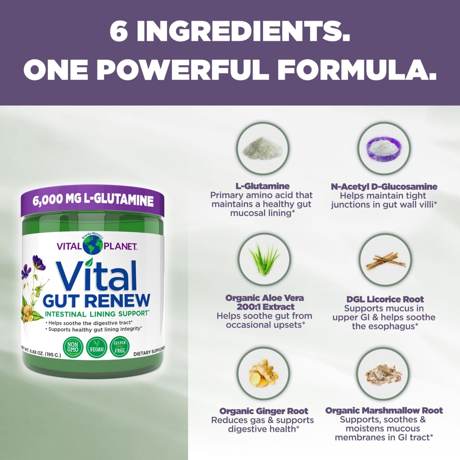 Vital Planet - Vital Gut Renew Powder Supplement for Leaky Gut Repair with L-Glutamine, Marshmallow and Ginger Root, DGL Licorice Root and Organic - PrimeBioHealth - canada supplements