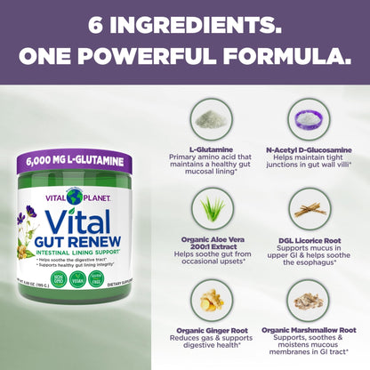 Vital Planet - Vital Gut Renew Powder Supplement for Leaky Gut Repair with L-Glutamine, Marshmallow and Ginger Root, DGL Licorice Root and Organic - PrimeBioHealth - canada supplements