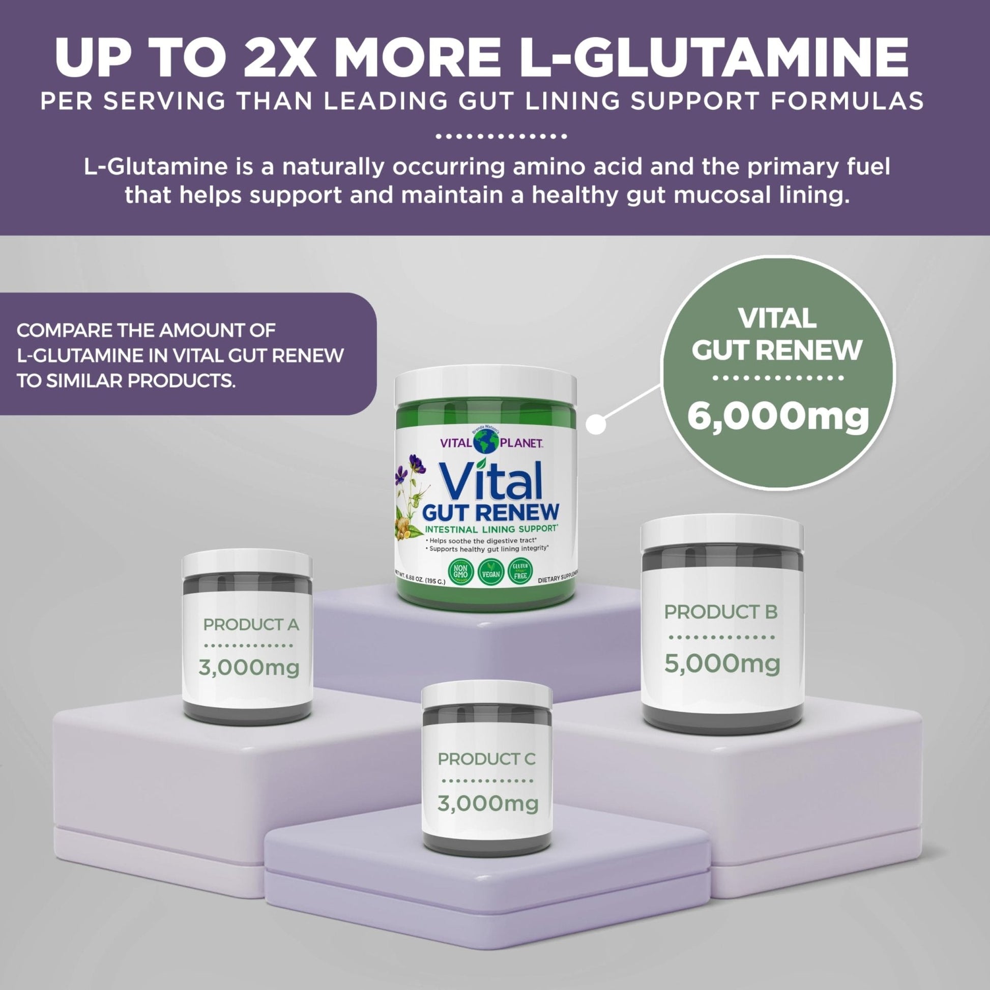 Vital Planet - Vital Gut Renew Powder Supplement for Leaky Gut Repair with L-Glutamine, Marshmallow and Ginger Root, DGL Licorice Root and Organic - PrimeBioHealth - canada supplements