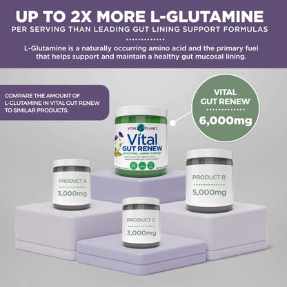 Vital Planet - Vital Gut Renew Powder Supplement for Leaky Gut Repair with L-Glutamine, Marshmallow and Ginger Root, DGL Licorice Root and Organic - PrimeBioHealth - canada supplements
