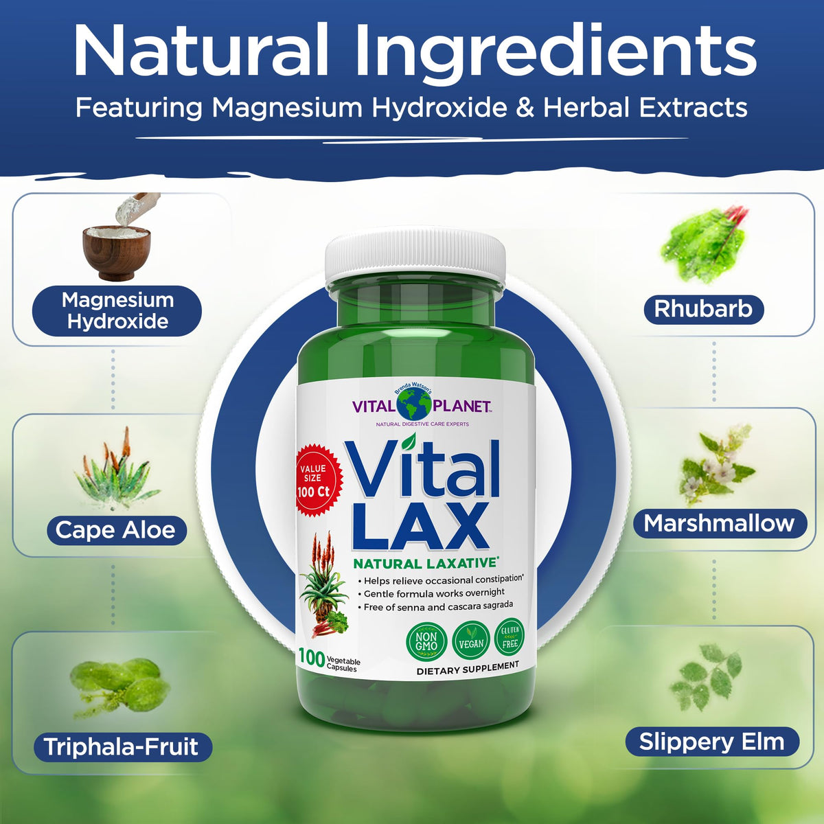 Vital Planet - Vital Lax Natural Laxative Cleanse Supplement for Occasional Constipation, with Magnesium Hydroxide, Slippery Elm, Aloe, - PrimeBioHealth - canada supplements