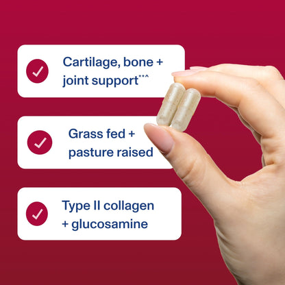 Vital Proteins Cartilage Collagen Pills, Type II Collagen & Chondroitin Sulfate Supplement for Recovery & Healthy Hair, Skin, Nails and Joints - PrimeBioHealth - canada supplements
