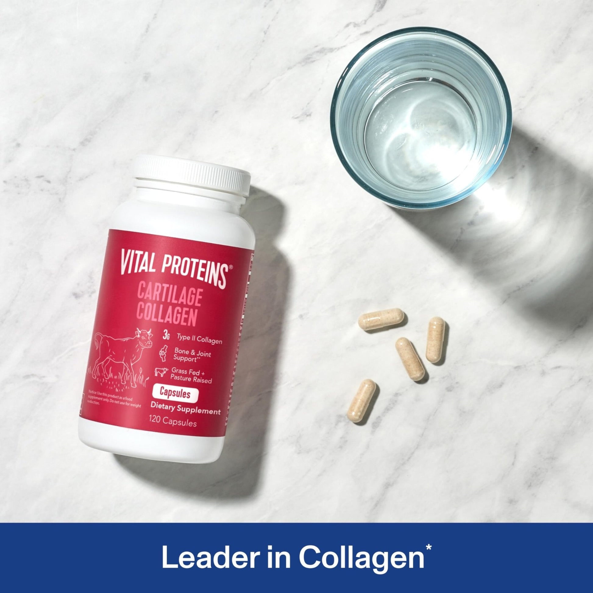 Vital Proteins Cartilage Collagen Pills, Type II Collagen & Chondroitin Sulfate Supplement for Recovery & Healthy Hair, Skin, Nails and Joints - PrimeBioHealth - canada supplements