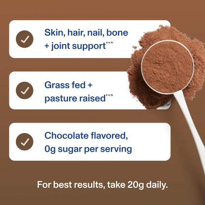 Vital Proteins Collagen Peptides Powder - Chocolate Powder for Hair, Nail, Skin, Bone & Joint Health, 13.5oz - PrimeBioHealth - canada supplements