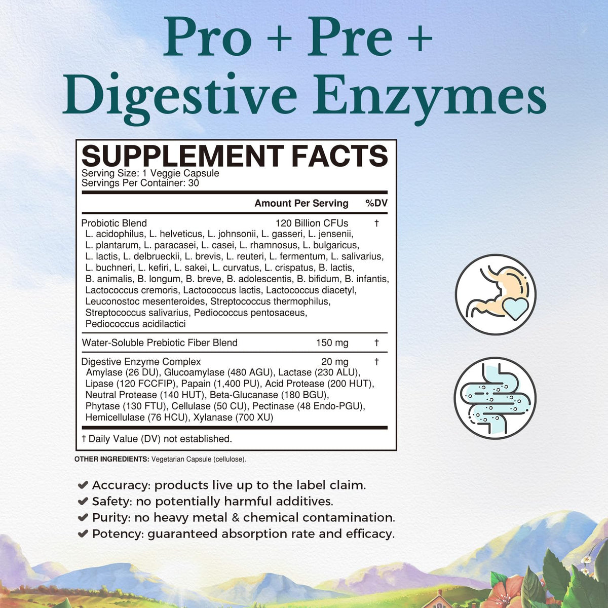 VITALITOWN Probiotics 120 Billion CFUs | 36 Strains, with Prebiotics & Digestive Enzymes for Men Women | Shelf Stable | Digestive Health & Immune Support - PrimeBioHealth - canada supplements