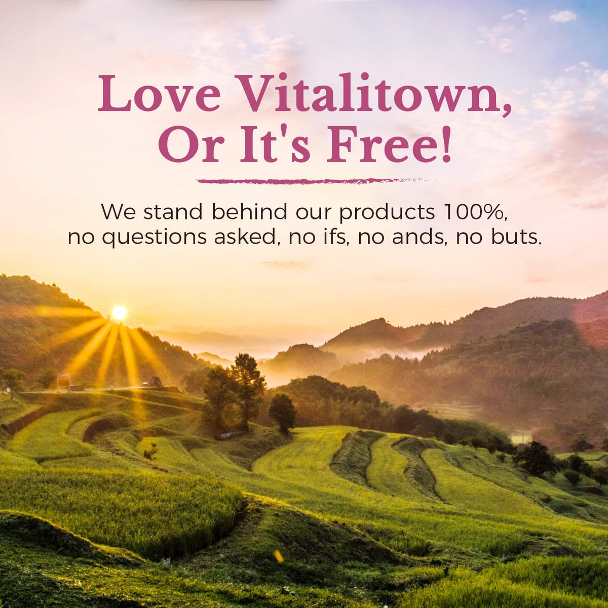 Vitalitown Probiotics for Women 120 Billion CFUs, 30 Strains, with Prebiotics & Digestive Enzymes & Cranberry, Gut & Vaginal Health, Vegan 30 - PrimeBioHealth - canada supplements
