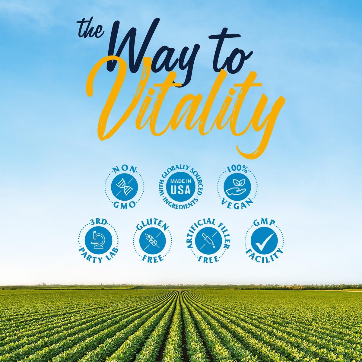 Vitalitown Probiotics + Prebiotics | 60 Billion CFUs 19 Strains | 60 Delayed Release Veg Caps | Shelf Stable, Prebiotics and Probiotics | Digestive Health - PrimeBioHealth - canada supplements