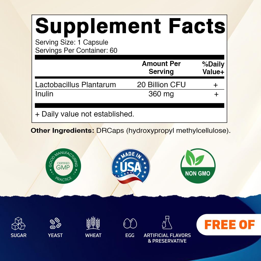 Vitamatic Lactobacillus Plantarum - 20 Billion per DR Capsule - 60 Count - Digestive Support - Made with Prebiotic Inulin Fiber - PrimeBioHealth - canada supplements