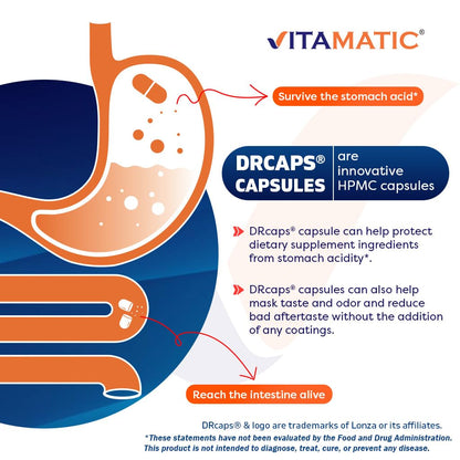 Vitamatic Lactobacillus Plantarum - 20 Billion per DR Capsule - 60 Count - Digestive Support - Made with Prebiotic Inulin Fiber - PrimeBioHealth - canada supplements