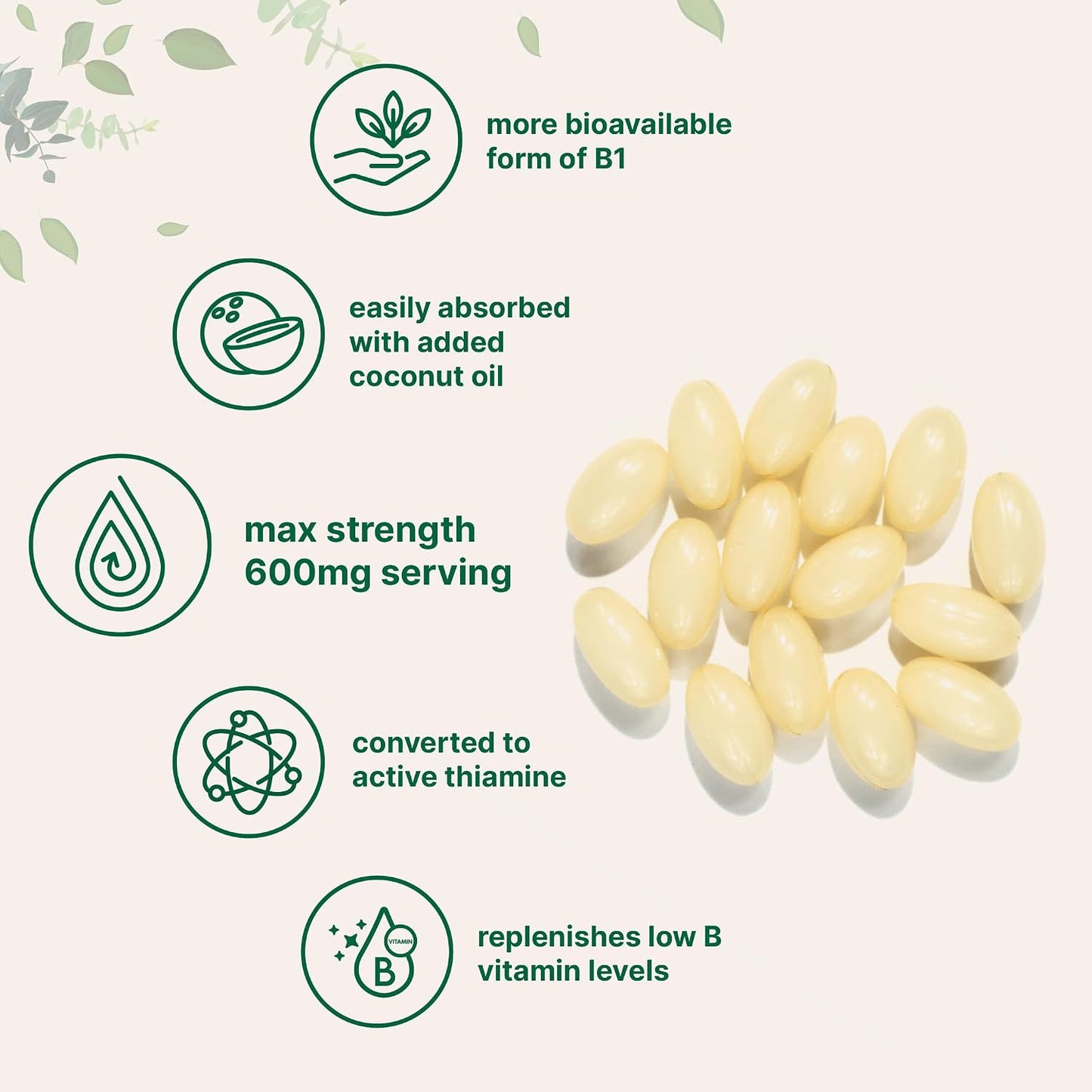Vitamin B1 Benfotiamine 600mg Per Serving, 240 Coconut Oil Softgels | Bioavailable B Vitamins Supplement, Converted to Active Thiamine | Non-GMO, Soy Free - PrimeBioHealth - canada supplements