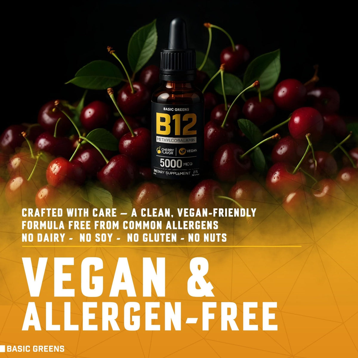 Vitamin B12 Sublingual Liquid Drops 5000 mcg – Vegan Methyl B-12 Supplement for Energy & Focus – B 12 Vitamin for Women & Men - PrimeBioHealth - canada supplements