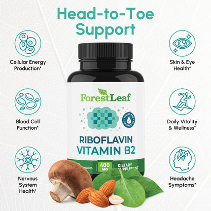 Vitamin B2 Riboflavin 400mg - Energy, Skin & Cellular Health Supplement - Nervous System Support - Vitamin B 2 Vit B - Non-GMO & Gluten Free - B2 Vitamin 400mg - PrimeBioHealth - canada supplements