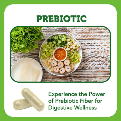Vitamin Bounty Prebiotic Capsules - PreforPro® Prebiotics Supplement for Women & Men Digestive Health & Advanced Gut Health – No Fiber, No Bloating - PrimeBioHealth - canada supplements