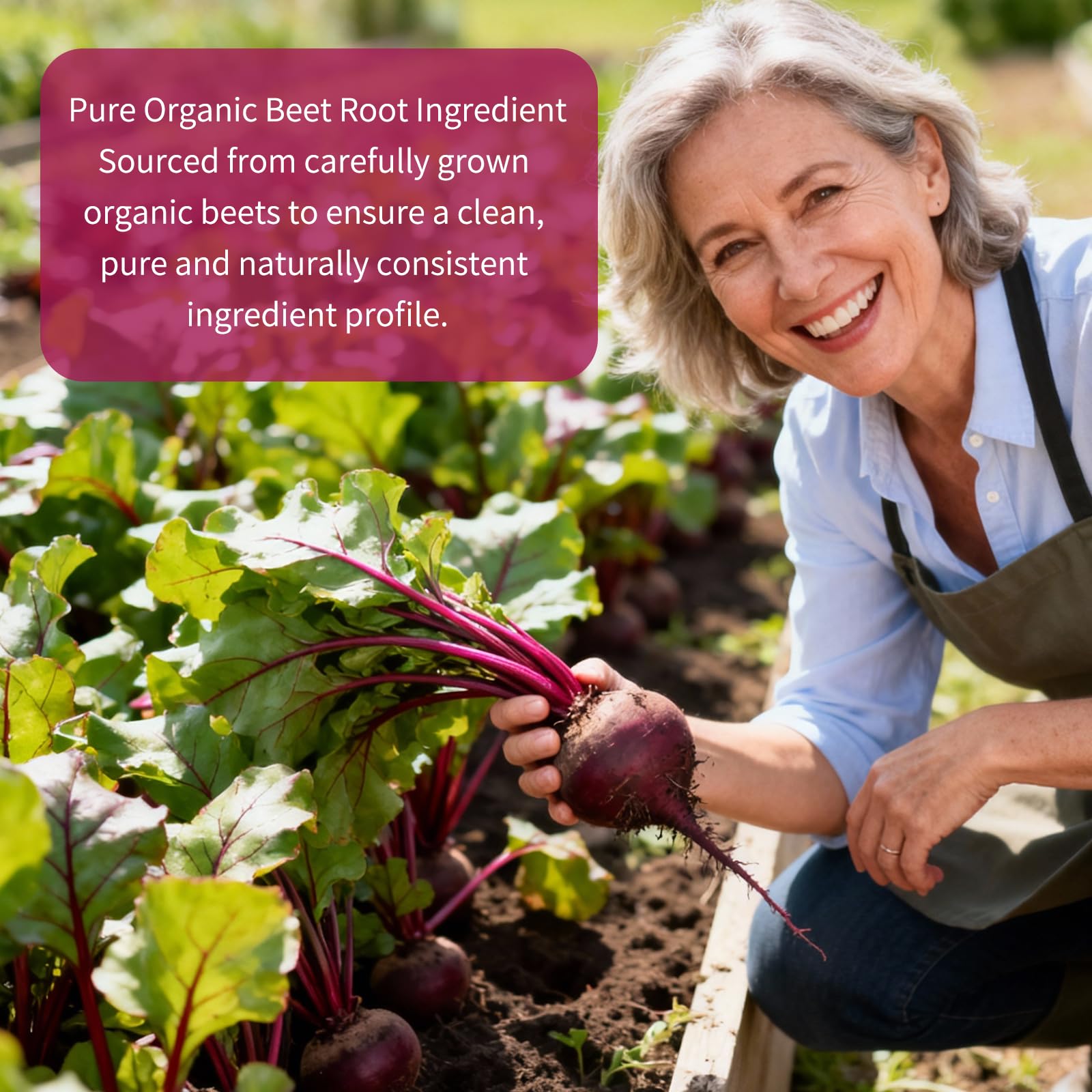 Vitarevive Organic Beet Root Capsules with Beetroot Extract 17850mg 21:1 Concentrated Beetroot Supplement Supports Circulation and Nitric Oxide - PrimeBioHealth - canada supplements