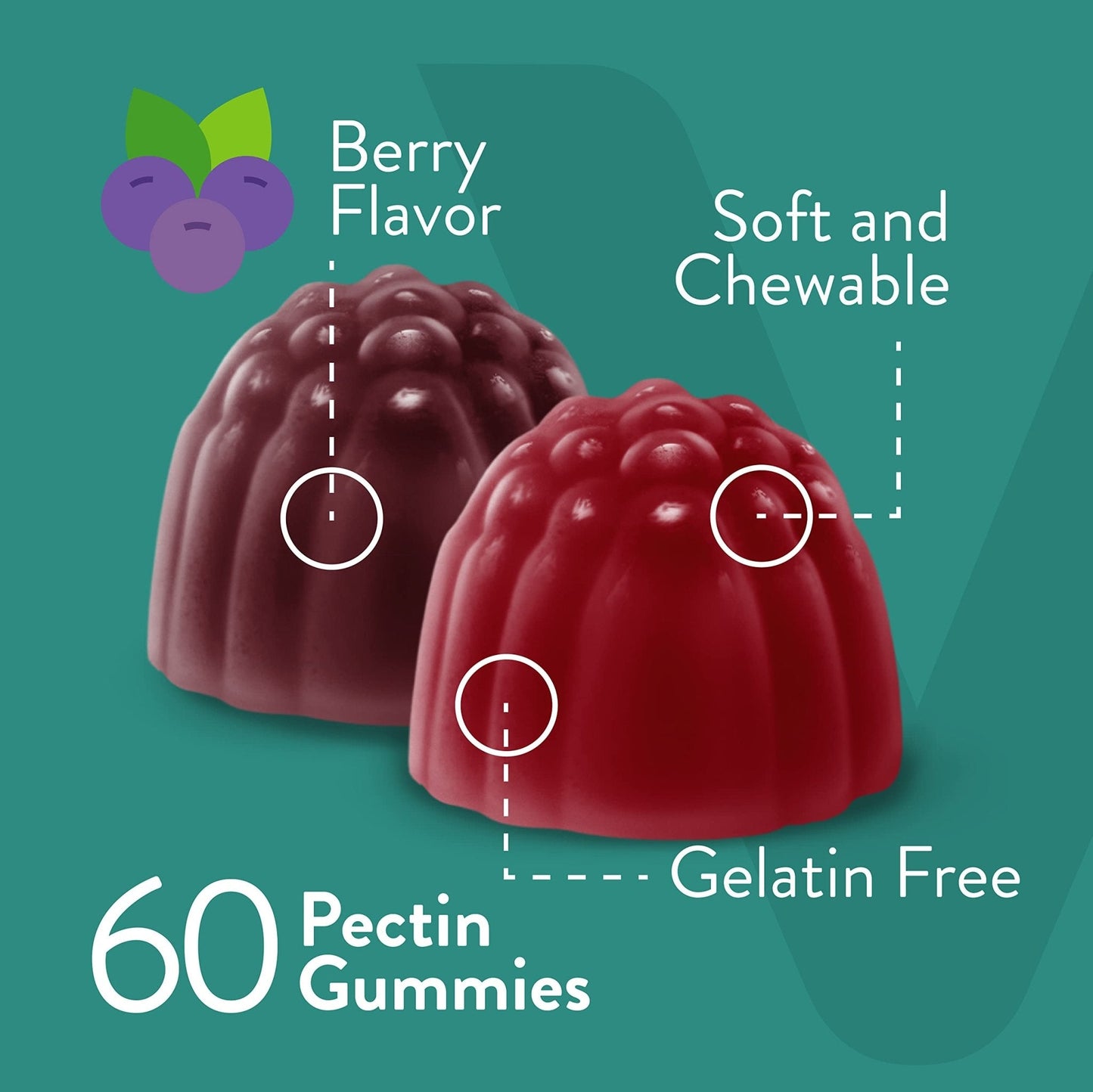 Viteey Probiotic Gummies with Prebiotics – Gut Health Supplements for Digestive Health – 2 Billion CFUs – Vegan, Gluten-Free – 60 Count - PrimeBioHealth - canada supplements
