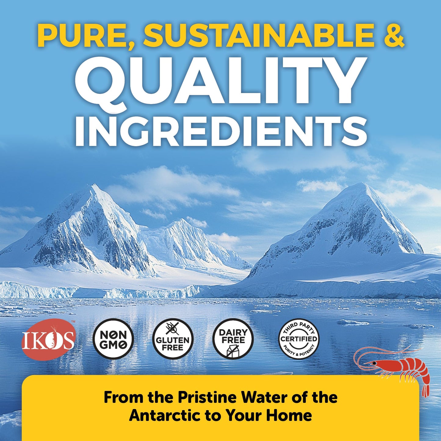 Viva Naturals Antarctic Krill Oil Omega 3 Supplements 1250 mg - DHA EPA Omega-3 & Astaxanthin Concentration for Joint Health, - PrimeBioHealth - canada supplements