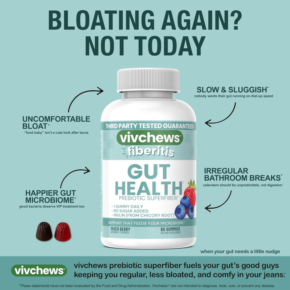 vivchews Gut Health Gummies – Prebiotic Fiber for Bloating Relief, No Sugar Added, Non-GMO, Fruit Pectin Based, Gluten-Free, No Artificial Colors, - PrimeBioHealth - canada supplements