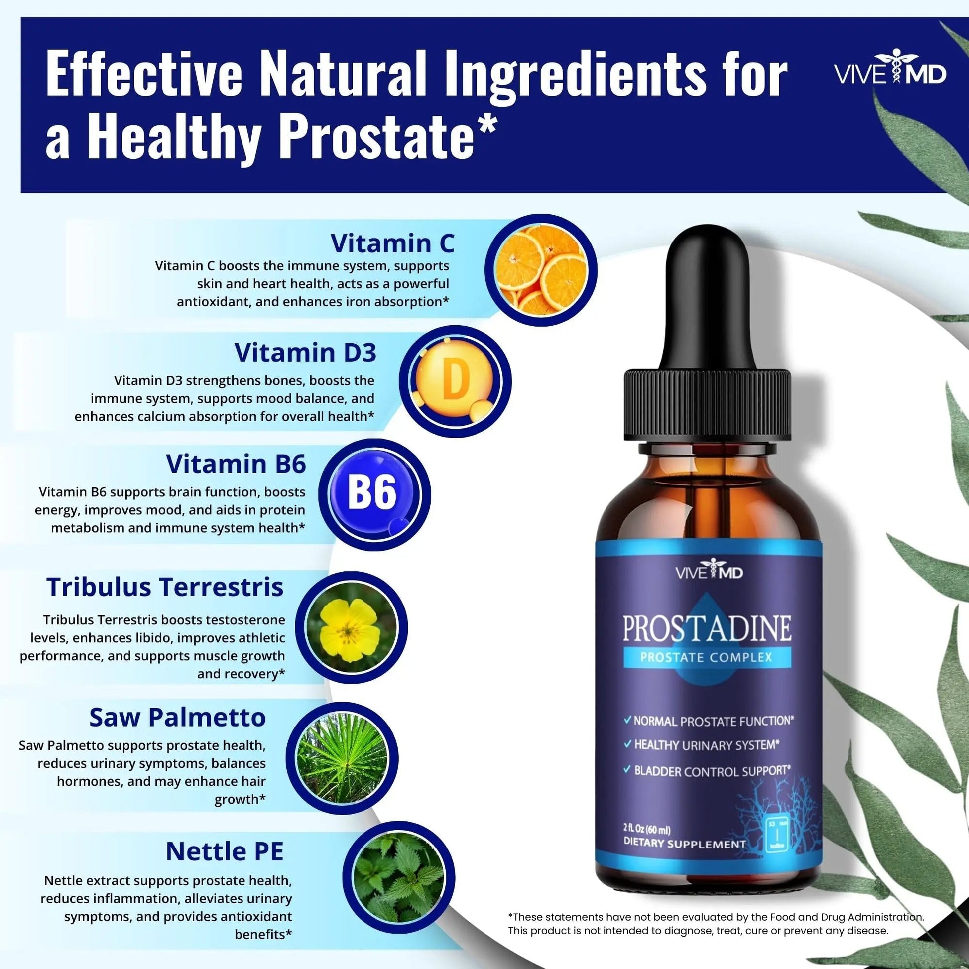 VIVE MD Prostadine Drops for Prostate Health, Bladder Urinating Issues - Prostadine Official Drop Formula - Extra Strength with Pomegranate, Prostadine Reviews (Package of 5) - PrimeBioHealth - canada supplements