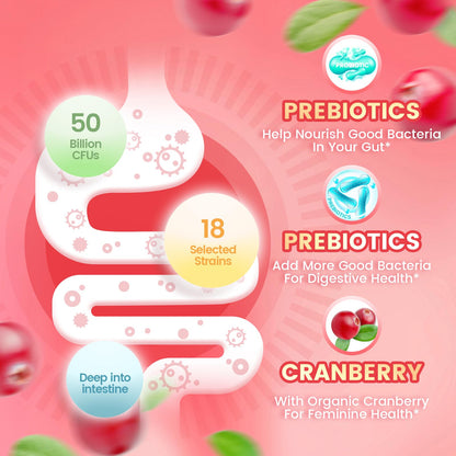 VivoNu Viginal Probiotics for Women, Women Probiotic Gummies, Feminine Balance Gummies, Prebiotic Gummy, Cranberry Probiotics for Woman Vaginigal Health, Yeast Ph Balance| 60 Gummies - PrimeBioHealth - canada supplements