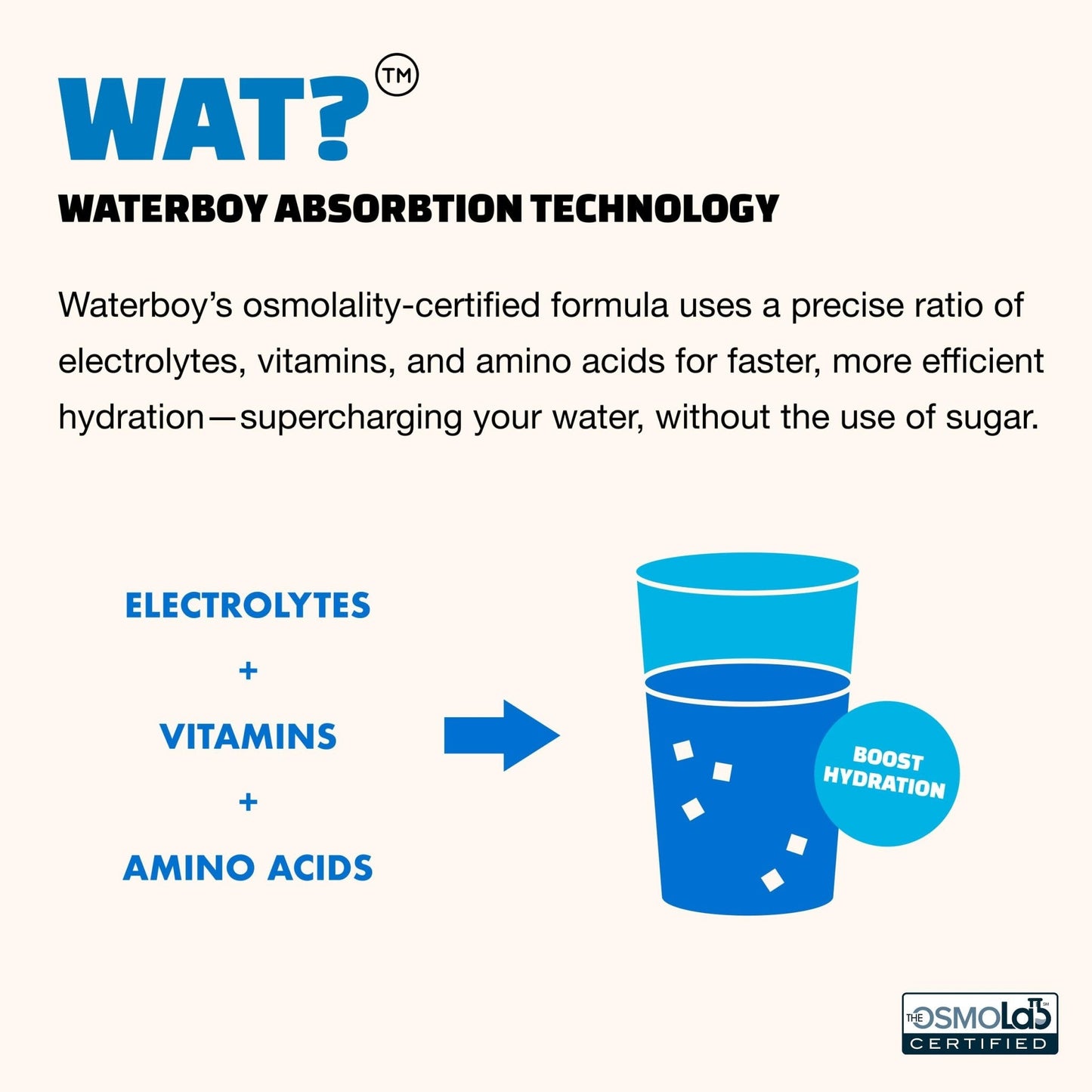 Waterboy Workout Hydration | 2,960mg Sugar Free Electrolyte Powder Packets | L-Glutamine + Vitamins | No Sugar, All Natural, Gluten Free (Variety) - PrimeBioHealth - canada supplements