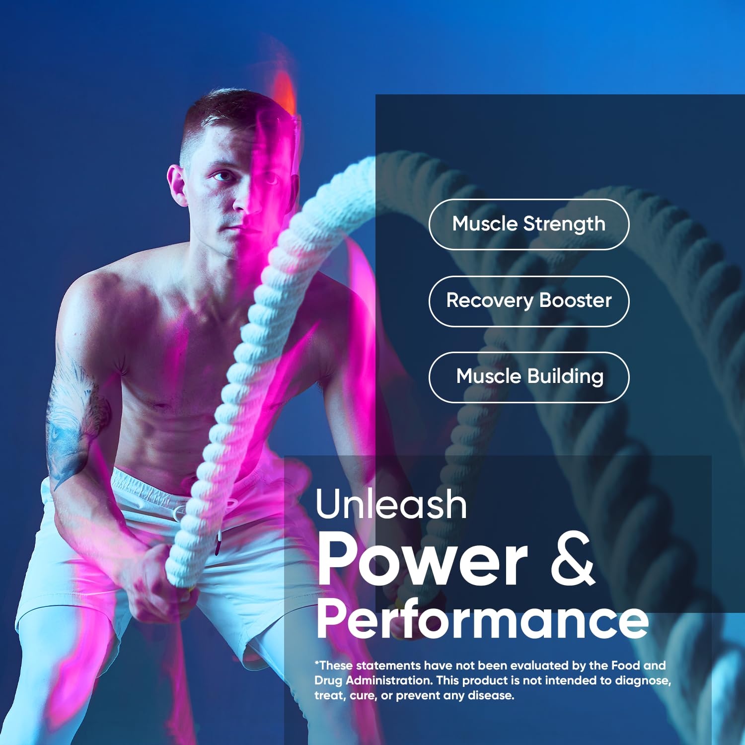 WeightWorld Micronized Creatine Monohydrate 3000mg Tablets - Muscle Growth, Strength, Energy & Recovery | Pre Workout Creatine for Women & Men | 1000mg per Tab - PrimeBioHealth - canada supplements