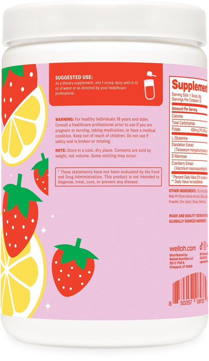 Wellah L-Glutamine Strawberry Lemonade Flavored (50 Servings) - 5g L-Glutamine Per Serving, Sweetened with Stevia - PrimeBioHealth - canada supplements