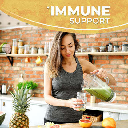 WELLNESS LABSRX Irish Sea Moss Gel Raw - Wildcrafted Superfood Seamoss Gel - Pineapple Mango Flavor, Vitamin and Mineral-Rich from Pristine Caribbean Waters - 10 oz. - PrimeBioHealth - canada supplements