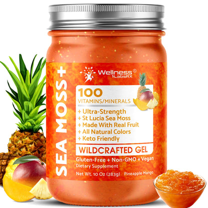 WELLNESS LABSRX Irish Sea Moss Gel Raw - Wildcrafted Superfood Seamoss Gel - Pineapple Mango Flavor, Vitamin and Mineral-Rich from Pristine Caribbean Waters - 10 oz. - PrimeBioHealth - canada supplements