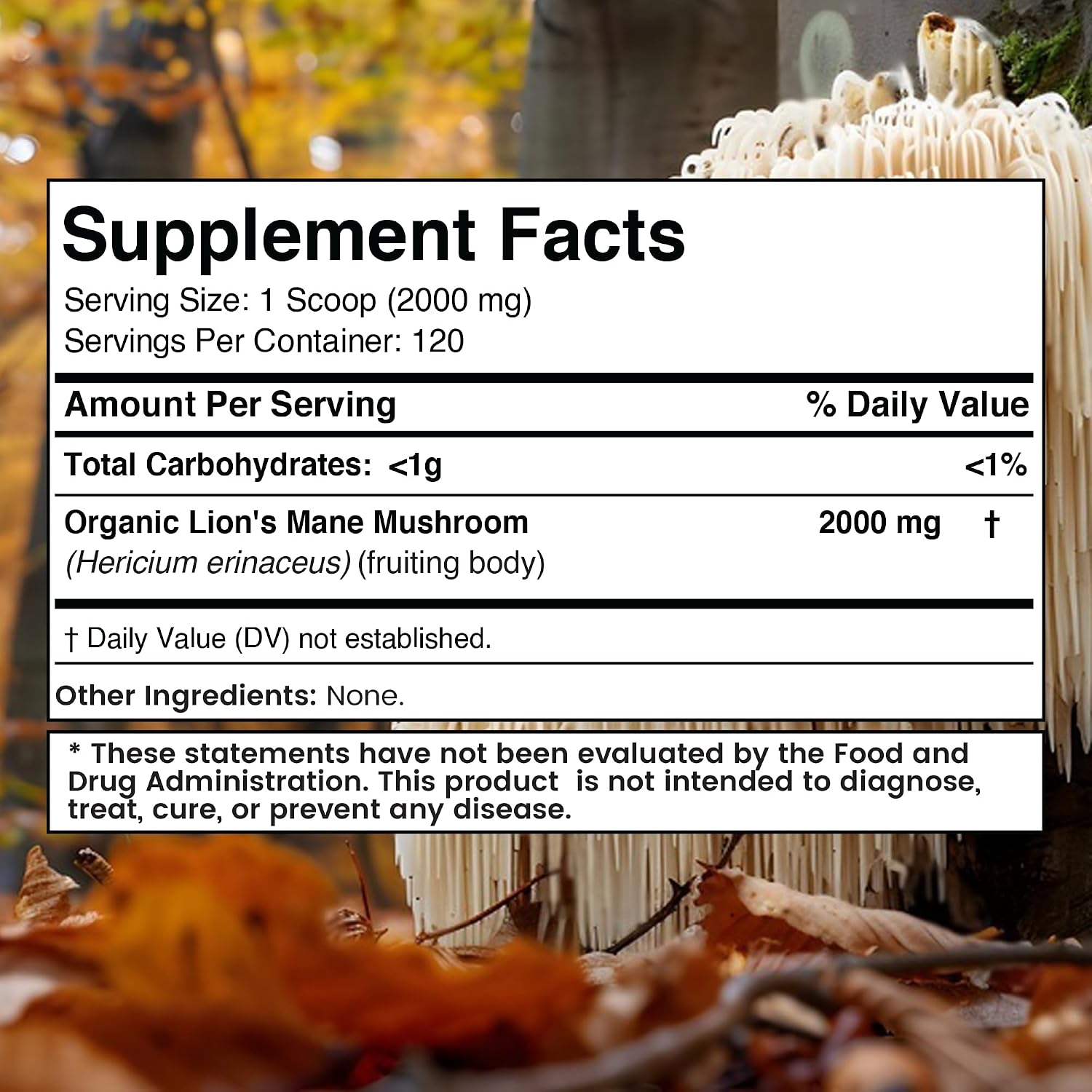 WELLNESS LABSRX Lions Mane Powder, Mushroom Supplement - 2000mg - Lions Mane Supplement - Lion's Mane Mushroom Powder Brain Supplements for Memory and Focus, Immune Support and Health - 120 Servings - PrimeBioHealth - canada supplements