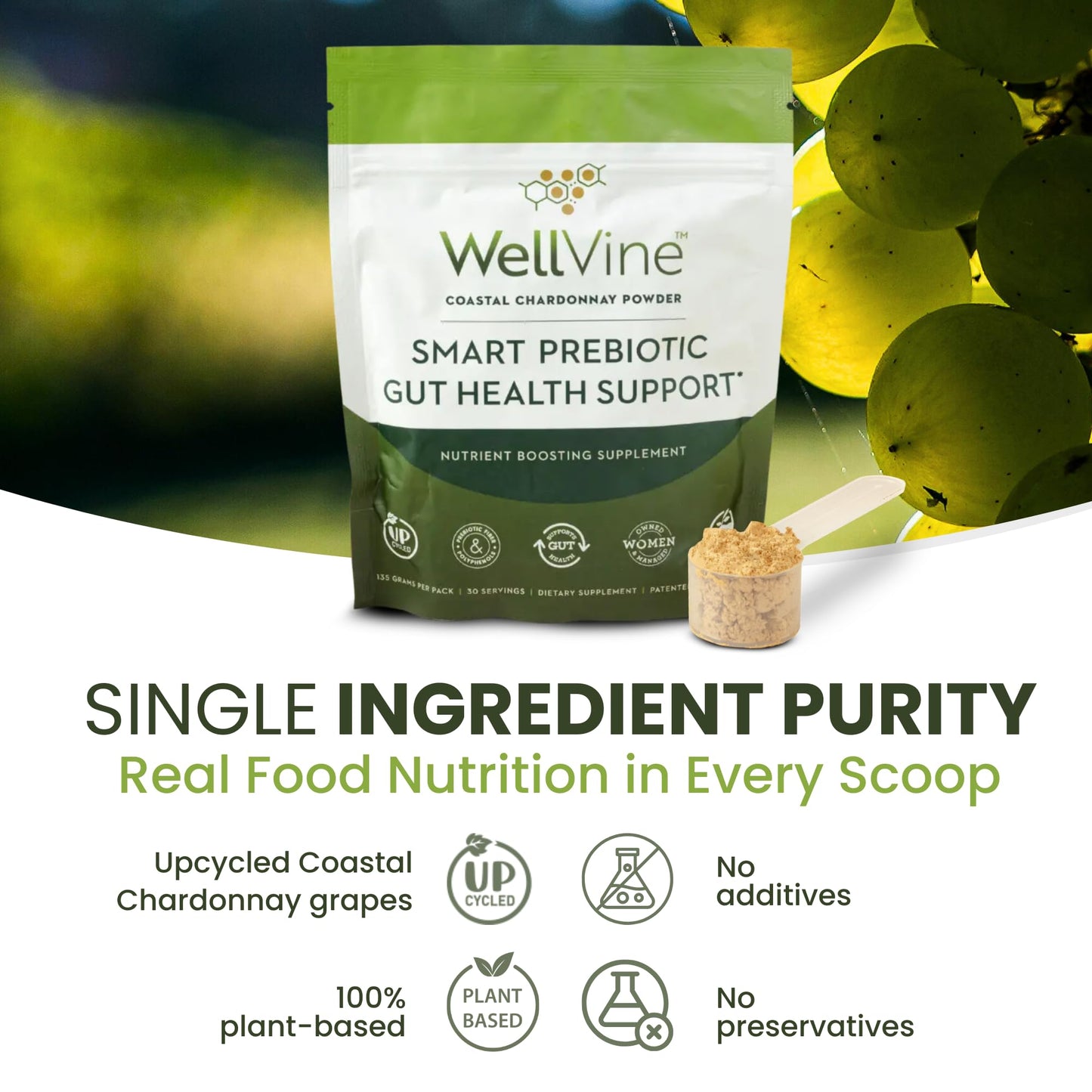 WellVine Premium Smart Prebiotic Gut Health Supplement Powder for Men & Women | Digestive Support & Gut Health With 100% Upcycled Chardonnay Grapes | Plant-Based - PrimeBioHealth - canada supplements