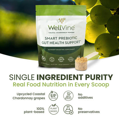 WellVine Premium Smart Prebiotic Gut Health Supplement Powder for Men & Women | Digestive Support & Gut Health With 100% Upcycled Chardonnay Grapes | Plant-Based - PrimeBioHealth - canada supplements