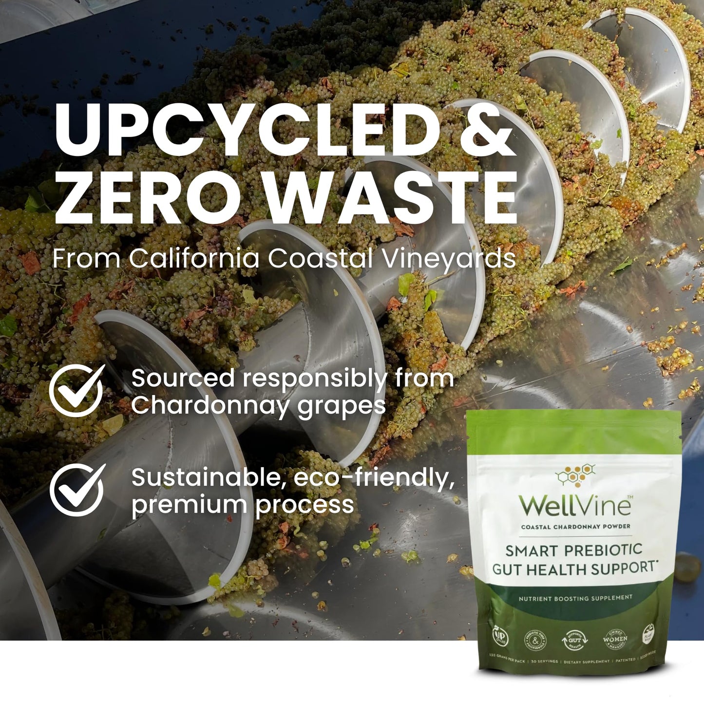 WellVine Premium Smart Prebiotic Gut Health Supplement Powder for Men & Women | Digestive Support & Gut Health With 100% Upcycled Chardonnay Grapes | Plant-Based - PrimeBioHealth - canada supplements
