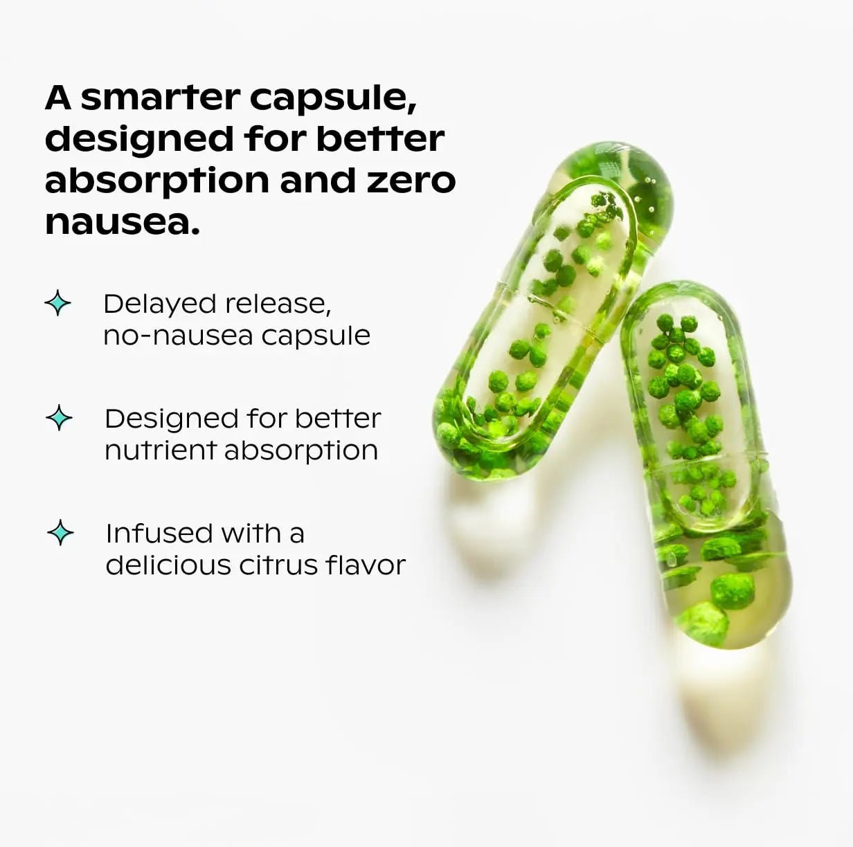 wholier Plant Based Multivitamin Vegan Omega-3 DHA EPA, Vitamin D, B12, Zinc, Vitamin K2, Iron, Iodine, Selenium - PrimeBioHealth - canada supplements