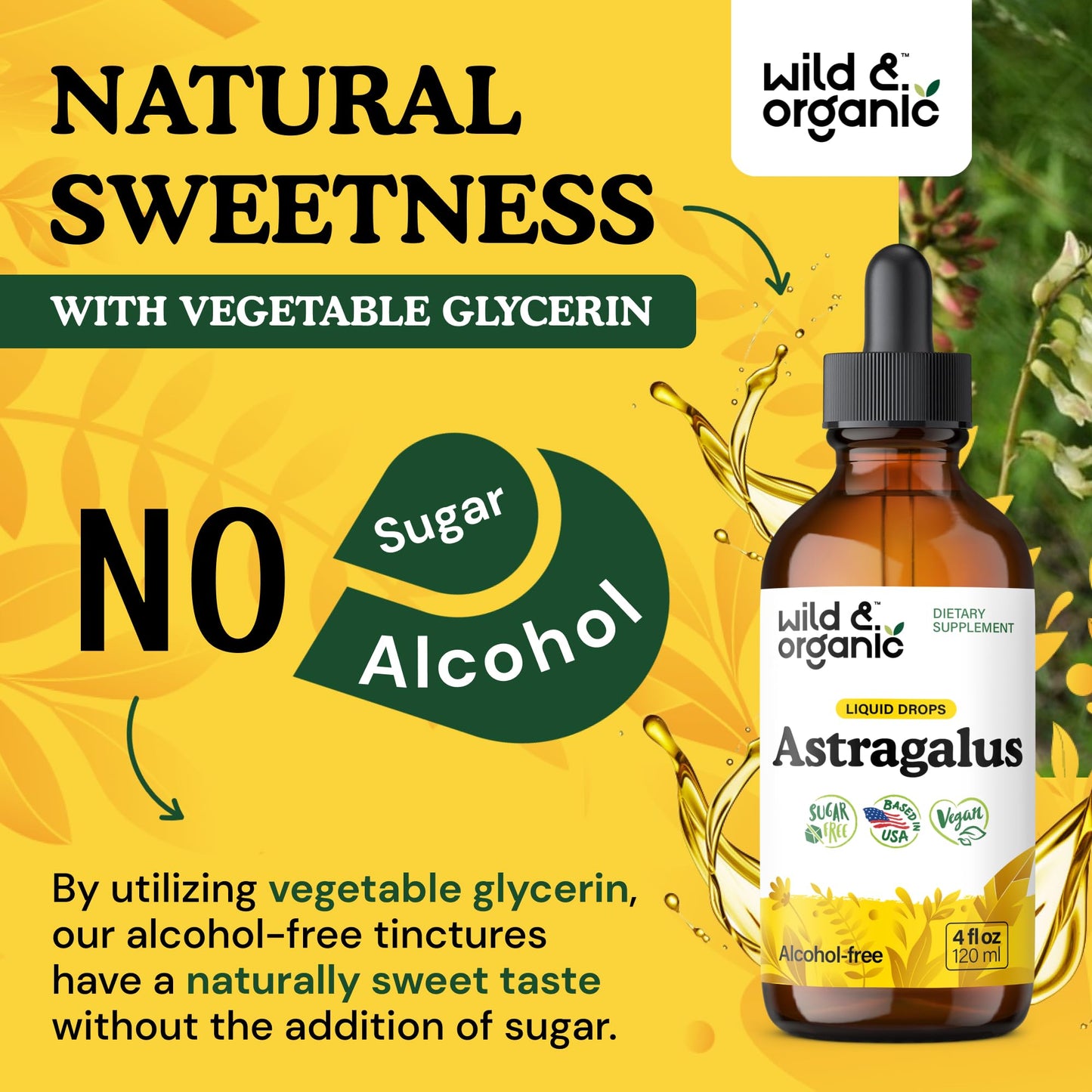 Wild & Organic Astragalus Root Extract Drops - Immune Support - Liquid Astragalus Supplement - Add to Tea & Mix with Powder - Membranaceus Herb - Vegan, Sugar & Alcohol-Free Tincture - 4 fl oz - PrimeBioHealth - canada supplements