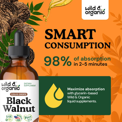 Wild & Organic Black Walnut Hull Tincture - Cleanse & Gut Support - Black Walnut Extract Supplement - Fast Absorption Liquid Drops - Add to Tea & Mix with Powder - Without Alcohol & Sugar - 4 fl oz - PrimeBioHealth - canada supplements